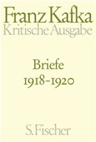 Franz Kafka, Hans-Ger Koch, Hans-Gerd Koch - Schriften - Tageb&uuml;cher - Briefe. Kritische Ausgabe - Bd. 4: Briefe
