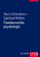 Harry Dettenborn, Eginhard Walter - Familienrechtspsychologie
