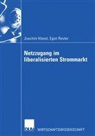 Joachi Kleest, Joachim Kleest, Egon Reuter - Netzzugang im liberalisierten Strommarkt