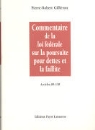 Commentaire de la loi f&eacute;d&eacute;rale sur la poursuite pour dettes et la faillite - Bd. 2: La saisie et la faillite. Titres troisi&egrave;me et quatri&egrave;me. Articles 89-158