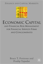 Porteous, B Porteous, B. Porteous, Bruce T. Porteous, Bruce Tapadar Porteous, P Tapadar... - Economic Capital and Financial Risk Management for Financial