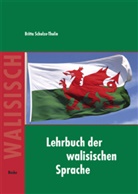 Schulze-Thulin, Britta Schulze-Thulin - Lehrbuch der walisischen Sprache - Buch: Lehrbuch der walisischen Sprache