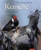 Hartmut Elsner, Willi Rolfes, Willi Rolfes, Willi Fotos v. Rolfes - Unterwegs im Land der Kraniche
