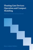 Luc Larcher, Luca Larcher, Andrea Marmiroli, Paol Pavan, Paolo Pavan - Floating Gate Devices: Operation and Compact Modeling