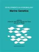Claudi A M Russo, Claudia A M Russo, John P Thorpe, Claudia A. M. Russo, Claudia A.M. Russo, Antonio Sole-Cava... - Marine Genetics