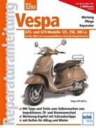Scherme, F.J. Schermer, Franz Jose Schermer, Franz Josef Schermer, St&auml;del, Helmu St&auml;dele... - Vespa GTS- und GTV-Modelle 125, 250, 300 i.e.  -  ab Modelljahr 2005