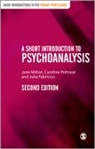 Julia Fabricius, Fabricius Julia, Jane Milton, Jane Fabricius Milton, Caroline Polmear, Polmear Caroline... - Short Introduction to Psychoanalysis