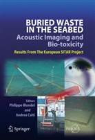 Philippe Blondel, Andrea Caiti, Philipp Blondel, Philippe Blondel, CAITI, Caiti... - Buried Waste in the Seabed - Acoustic Imaging and Bio-toxicity