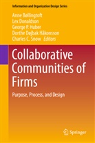 Anne B. Llingtoft, Anne B&oslash;llingtoft, Le Donaldson, Lex Donaldson, Dorthe D&oslash;jbak H&aring;konsson, George P. Huber... - Collaborative Communities of Firms