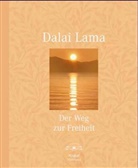 Dalai Lama XIV. - Der Weg zur Freiheit