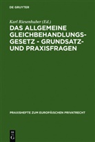 Kar Riesenhuber, Karl Riesenhuber - Das Allgemeine Gleichbehandlungsgesetz - Grundsatz- und Praxisfragen