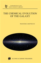 F. Matteucci, Francesca Matteucci - The Chemical Evolution of the Galaxy