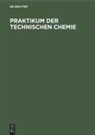 Kurt Kirchner, Franz Patat, Degruyter - Praktikum der Technischen Chemie