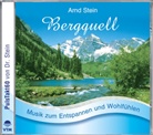 Arnd Stein - Bergquell, Audio-CD (Audio book)