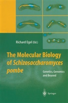 Richar Egel, Richard Egel - The Molecular Biology of Schizosaccharomyces pombe