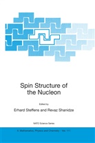 Revaz Shanidze, Erhard Steffens - Spin Structure of the Nucleon