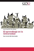 Analía Elizabeth Leite Méndez - El aprendizaje en la Universidad