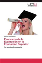 Nali Borrego Ramírez - Panorama de la Evaluación en la Educación Superior