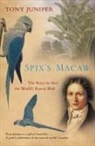 Tony Juniper, Juniper Tony - Spix's Macaw