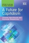 Peter Flaschel, Peter Greiner Flaschel, Peter/ Greiner Flaschel, Alfred Greiner - Future for Capitalism