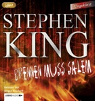 Stephen King, J&uuml;rgen Kluckert - Brennen muss Salem, 3 Audio-CD, 3 MP3 (Audio book)