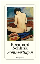 Bernhard Schlink - Sommerlügen