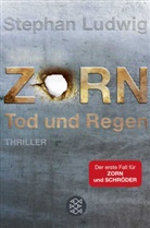 Stephan Ludwig - Zorn - Tod und Regen