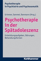 Dammann, Gerhard Dammann, Grimme, Bernhard Grimmer, Samme, Is Sammet... - Psychotherapie in der Sp&auml;tadoleszenz