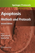 Erhard, P Erhard, P. Erhard, Toth, Toth, Ambrus Toth - Apoptosis