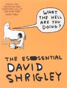 David Shrighley, David Shrigley, Shrigley David - What the Hell Are You Doing?