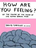 David Shrigley, Shrigley David - How Are You Feeling?
