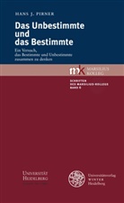 Hans J Pirner, Hans J. Pirner - Das Unbestimmte und das Bestimmte
