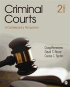 David C. Brody, Craig Hemmens, Craig T. Hemmens, Craig T. Brody Hemmens, Craig T. Spohn Hemmens, Craig T./ Brody Hemmens... - Criminal Courts