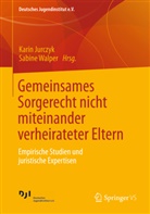Jurczy, Kari Jurczyk, Karin Jurczyk, Walpe, Walper, Walper... - Gemeinsames Sorgerecht nicht miteinander verheirateter Eltern