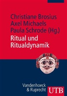 Christiane Brosius, Axe Michaels, Axel Michaels, Pa Schrode, Paula Schrode - Ritual und Ritualdynamik