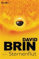 David Brin - Sternenflut