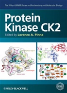 L Pinna, Lorenzo A Pinna, Lorenzo A. Pinna, PINNA LORENZO A, Pinna Lorenzo A. - Protein Kinase Ck2