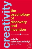 Mihaly Csikszentmihalyi - Creativity