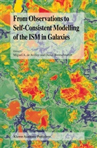 Migue A de Avillez, Miguel A de Avillez, Miguel A. de Avillez, Breitschwerdt, Breitschwerdt, Dieter Breitschwerdt - From Observations to Self-Consistent Modelling of the ISM in Galaxies