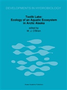 Jame J O'Brien, James J O'Brien, James J. O'Brien - Toolik Lake