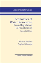 Asghar Sabbaghi, Nicola Spulber, Nicolas Spulber - Economics of Water Resources: From Regulation to Privatization