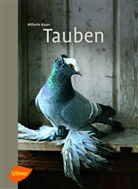 Wilhelm Bauer - Tauben