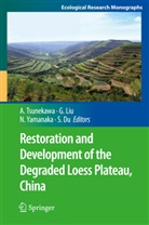 Sheng Du, Guobi Liu, Guobin Liu, Atsushi Tsunekawa, Norikazu Yamanaka, Norikazu Yamanaka et al - Restoration and Development of the Degraded Loess Plateau, China