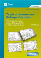 Corina Beurenmeister - Texte schreiben mit Bildergeschichten 1./2. Klasse