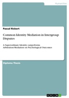 Pascal Rickert - Common Identity Mediation in Intergroup Disputes