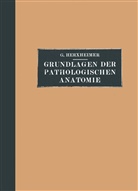 Gotthold Herxheimer - Grundlagen der Pathologischen Anatomie f&uuml;r Studierende und &Auml;rzte