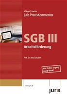 Rainer Schlegel, Jens Schubert, Thoma Voelzke - SGB III Arbeitsf&ouml;rderung