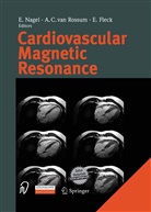 C van Rossum, A C van Rossum, E Fleck, E. Fleck, E. Nagel, A. C. Van Rossum... - Cardiovascular Magnetic Resonance