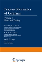 R Bradt, R C Bradt, R. C. Bradt, D P Hasselman, D P H Hasselman, D. P. H. Hasselman... - Flaws and Testing