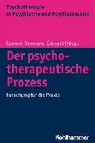 Gerhar Dammann, Gerhard Dammann, Bernhard Grimmer, Isa Sammet, G&uuml;nter Schiepek, G&uuml;nter Schiepek u a - Der psychotherapeutische Prozess